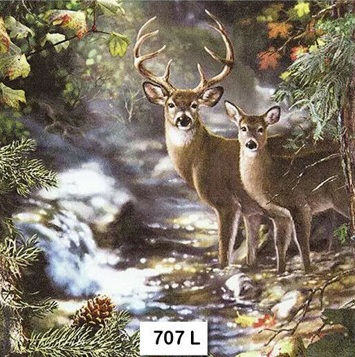 (707) Two Individual Paper Luncheon Decoupage Napkins - Forest, Deer, Buck, Doe